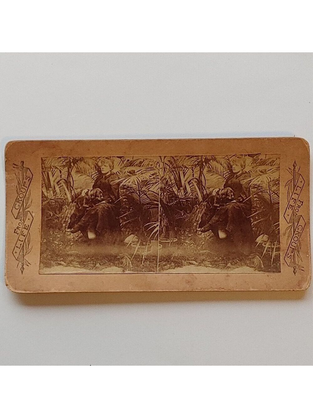 ANTIQUE Stereograph Card Victorian Woman and Bloodhound in Garden